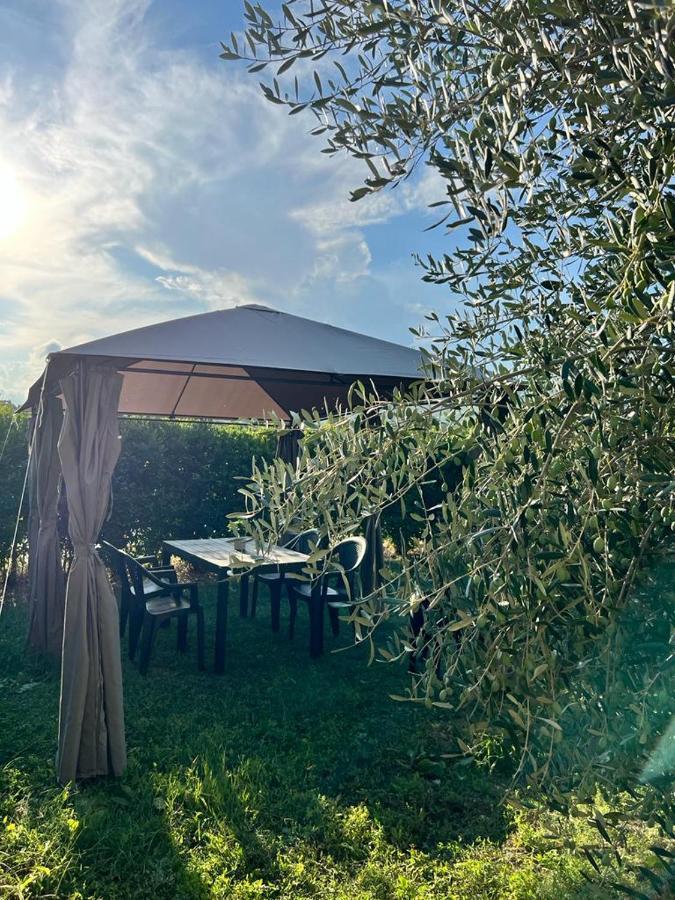 Lu Prete Lägenhet Campofilone Exteriör bild